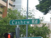 Blk 104 Cashew Road (S)679679 #77032